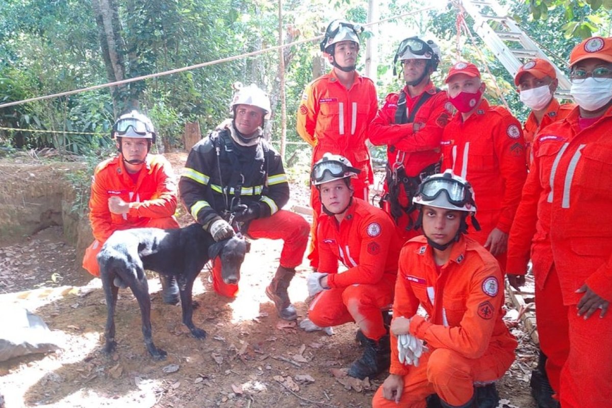 Cachorro cai em poço de quase 27 metros de profundidade e é resgatado por bombeiros 