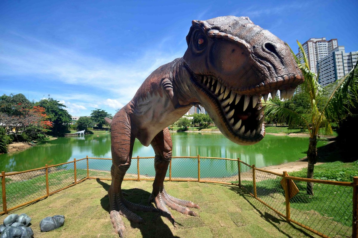 Ampliação do Parque dos Dinossauros, anunciada por Reis, é alvo de piadas