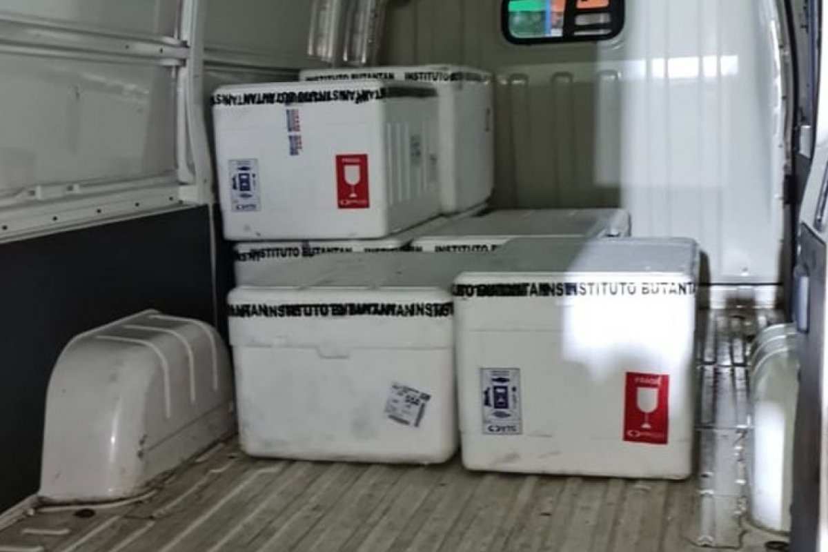 Chega à Salvador lote com quase 150 mil doses de vacinas contra gripe