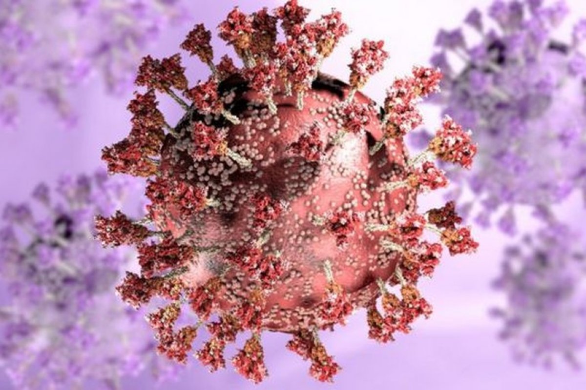 Primeiro paciente a morrer pela Ômicron no Brasil vivia em asilo