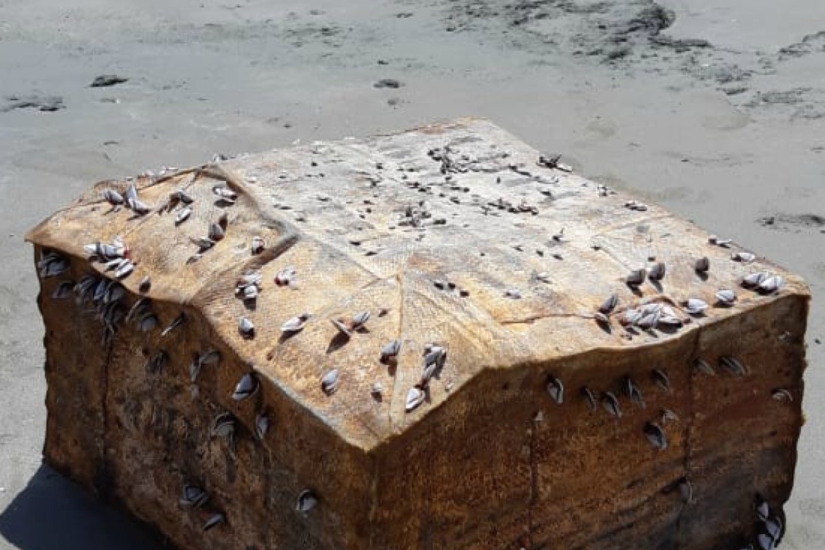 Caixas misteriosas encontradas em praia de Sergipe podem ter ligação com manchas de petróleo