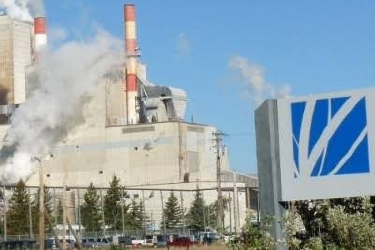 Paper Excellence realiza doação para vítimas das enchentes na Bahia