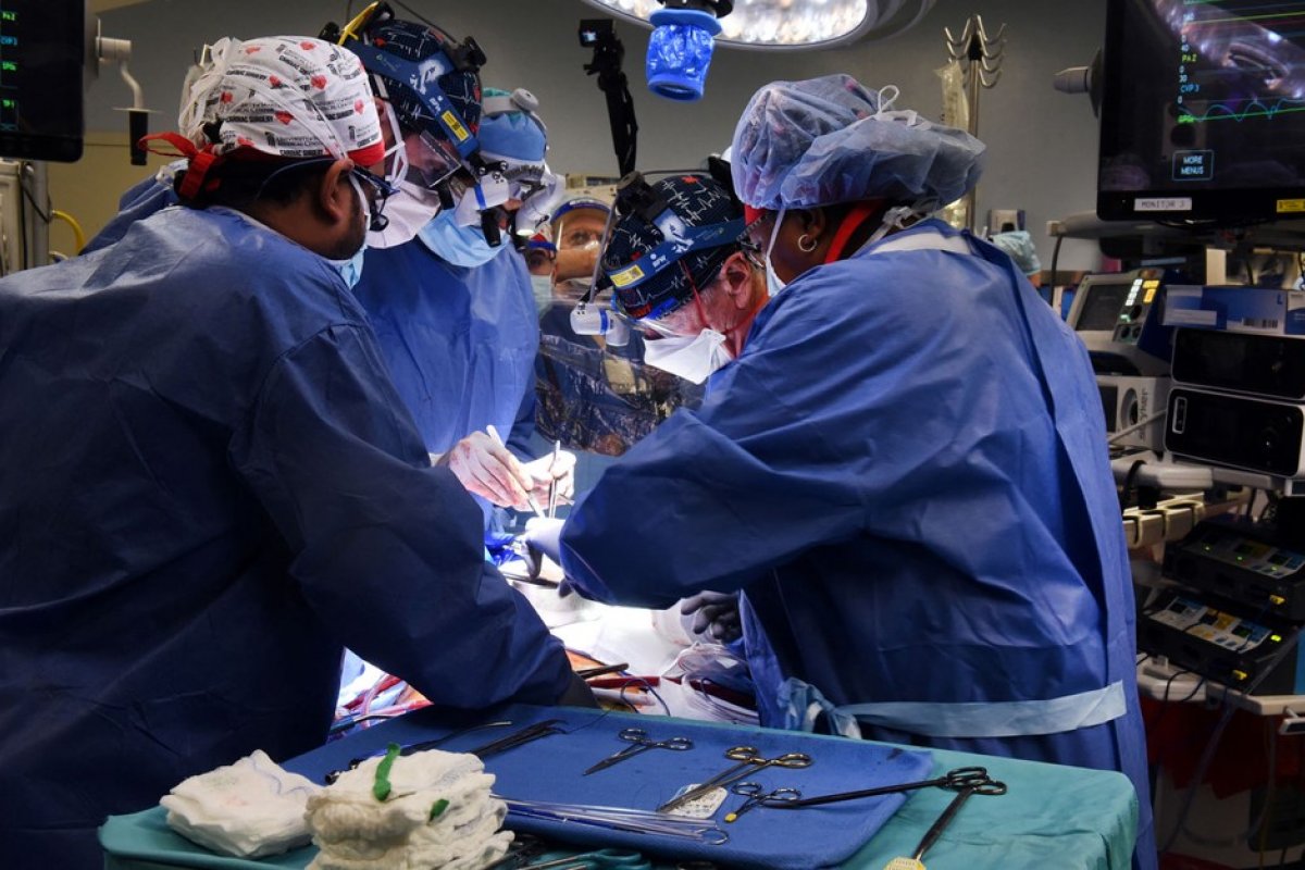 Cirurgiões americanos transplantam coração de porco em um homem de 57 anos