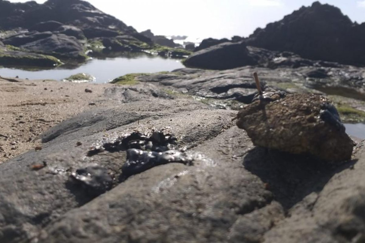 Órgão encontra fragmentos de mancha de óleo nas praias do Flamengo e Jardim dos Namorados