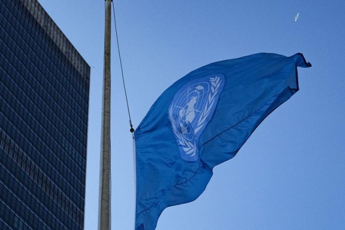 ONU abre inscrições para jovens profissionais; veja como participar