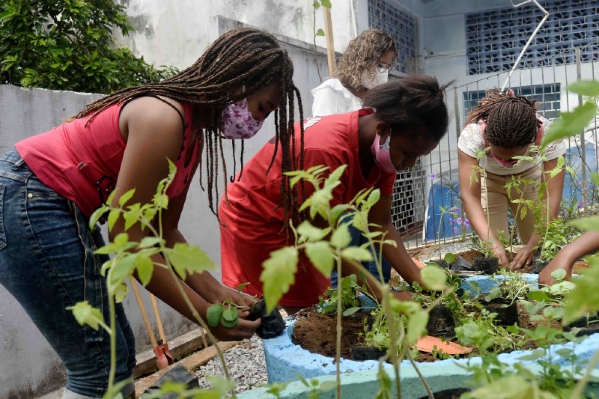 Vila Laura, em Salvador, ganha horta comunitária