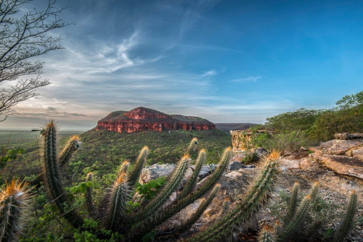 Serra da Capivara é reconhecida como um dos roteiros turísticos mais importantes do mundo