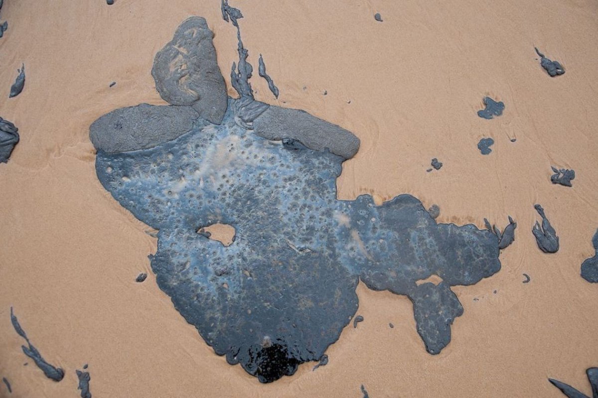 Segundo Ibama, 156 localidades já foram afetadas por manchas de petróleo em litorais do Nordeste