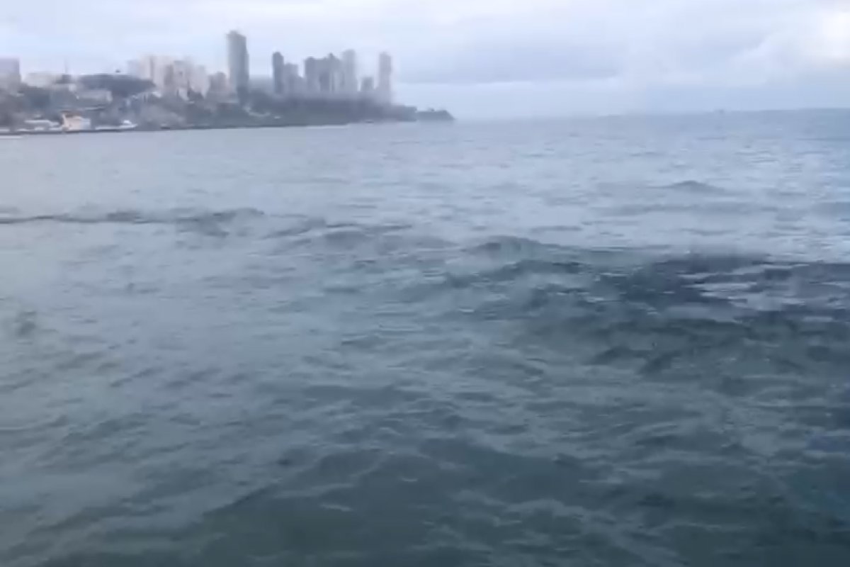 Manchas de petróleo são encontradas na Baía de Todos os Santos