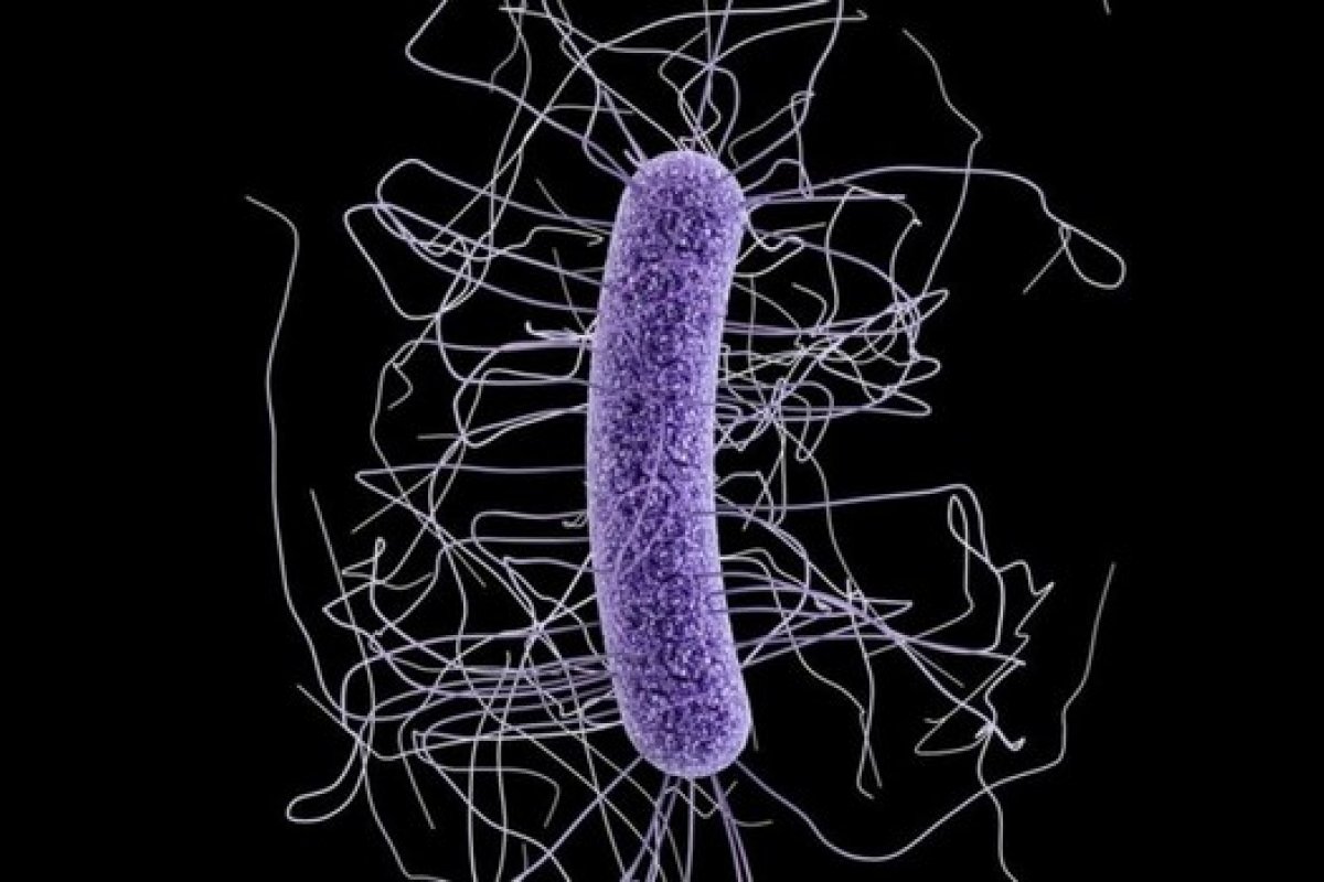 Superbactérias matam mais que HIV e malária no mundo, revela estudo