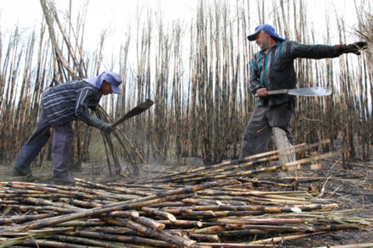 Brasil fecha 2021 com 1937 resgatados da escravidão contemporânea, maior soma desde 2013