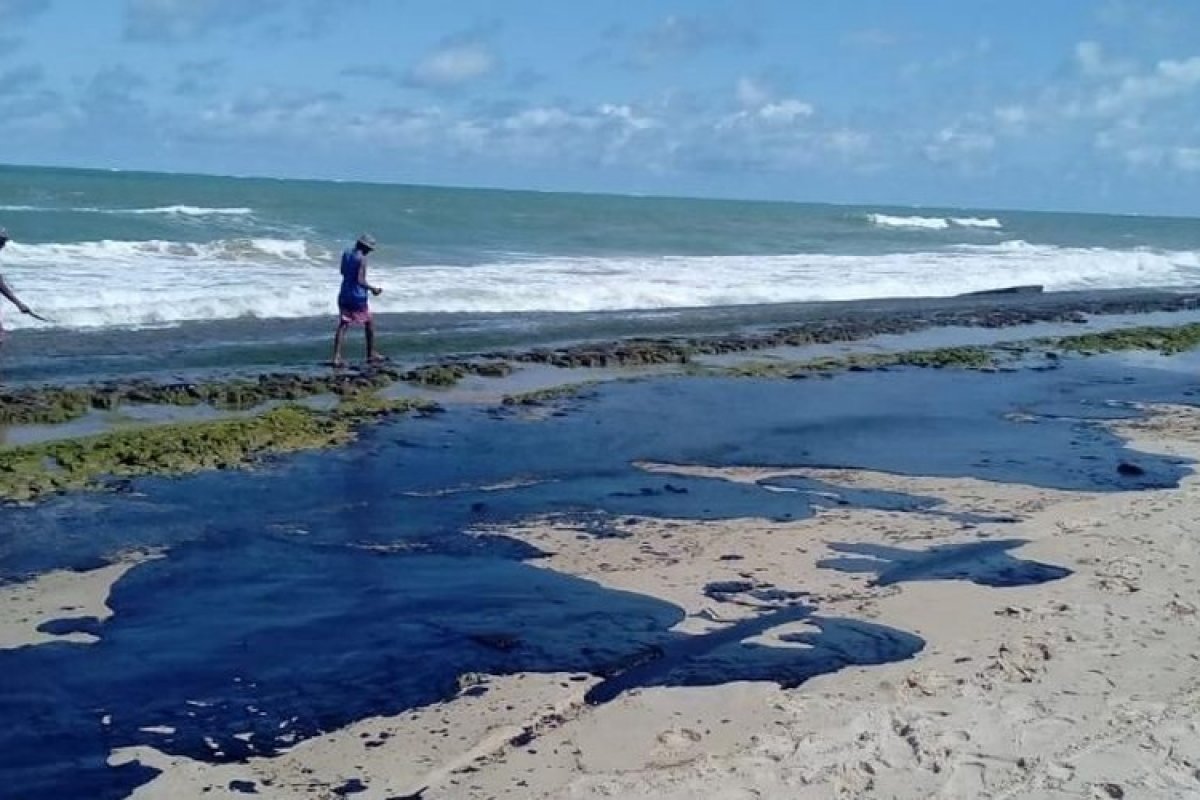 Manchas de óleo já atingem manguezais na Bahia