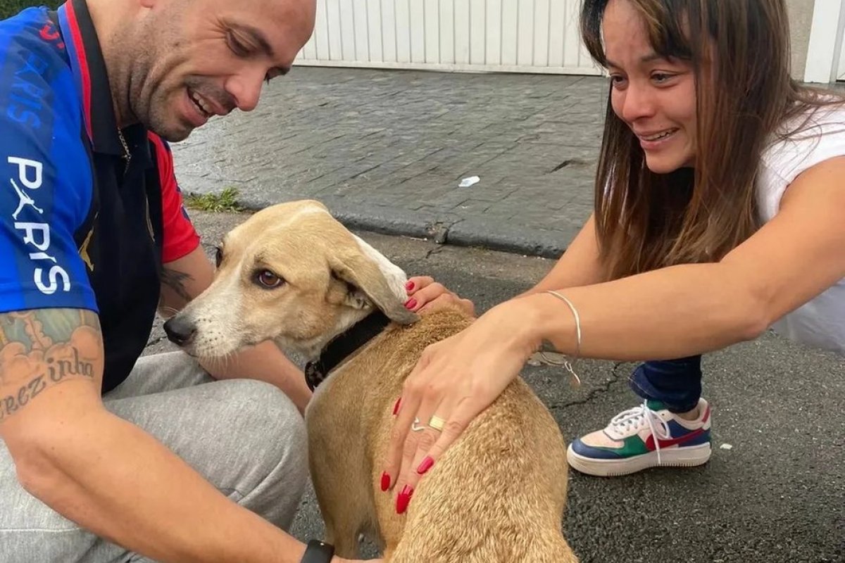Cachorra Pandora é encontrada depois de 45 dias e devolvida ao dono