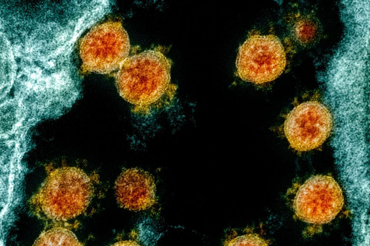 Covid: Farmacêutica anuncia resultados positivos da ivermectina contra Ômicron