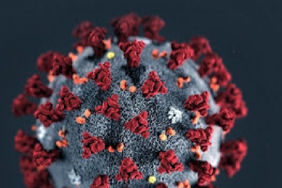 Bahia ultrapassa a marca de 30 mil casos ativos de Covid-19