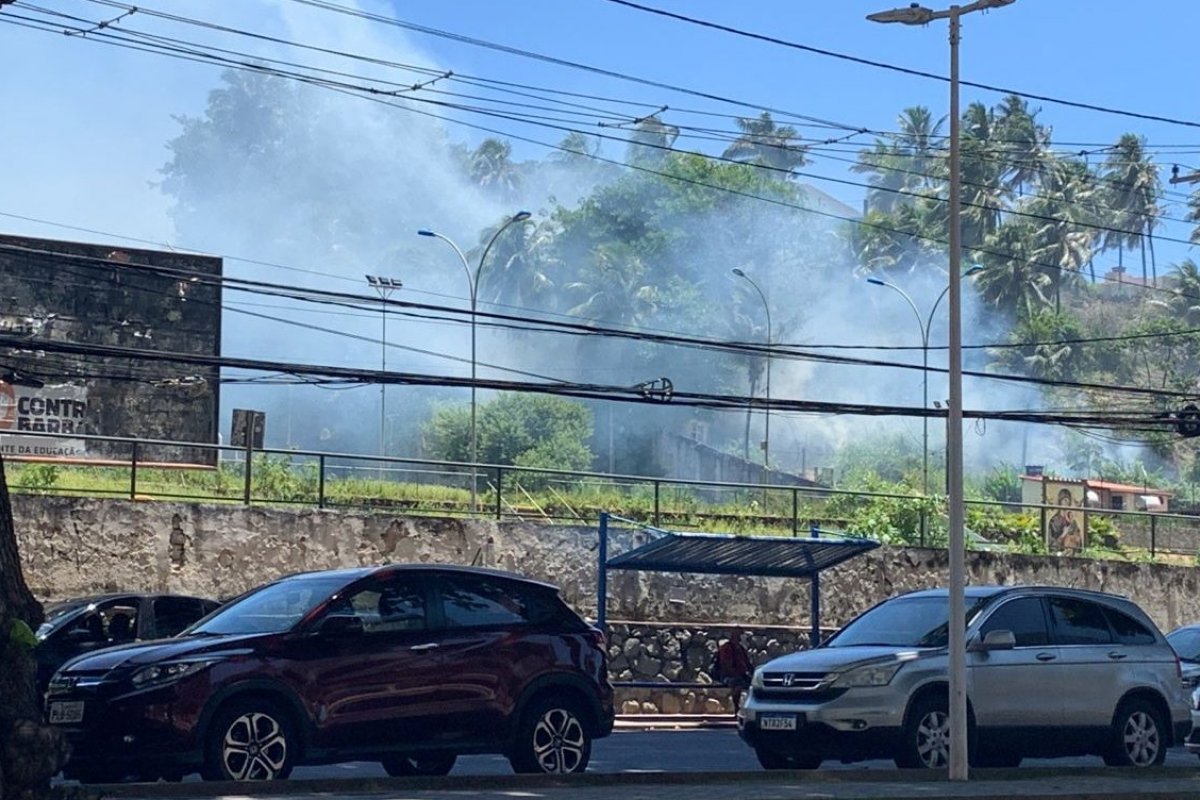 Incêndio atinge vegetação no campus da Ufba em Ondina