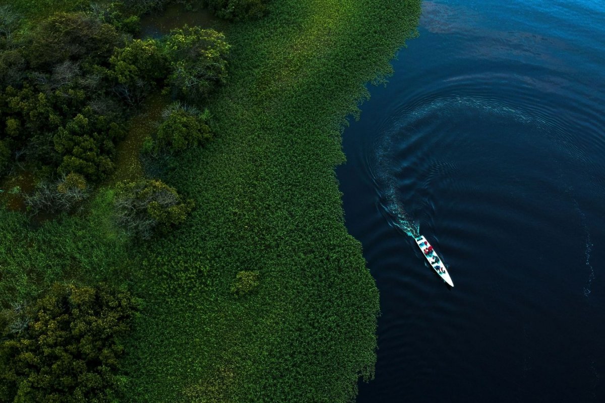 8 em cada 10 mulheres que atuam na defesa da Amazônia Legal sofrem violência