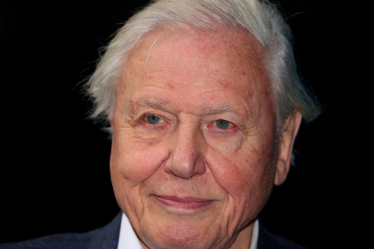 Attenborough, OMS e Tsikhanouskaya são indicados ao Nobel da Paz