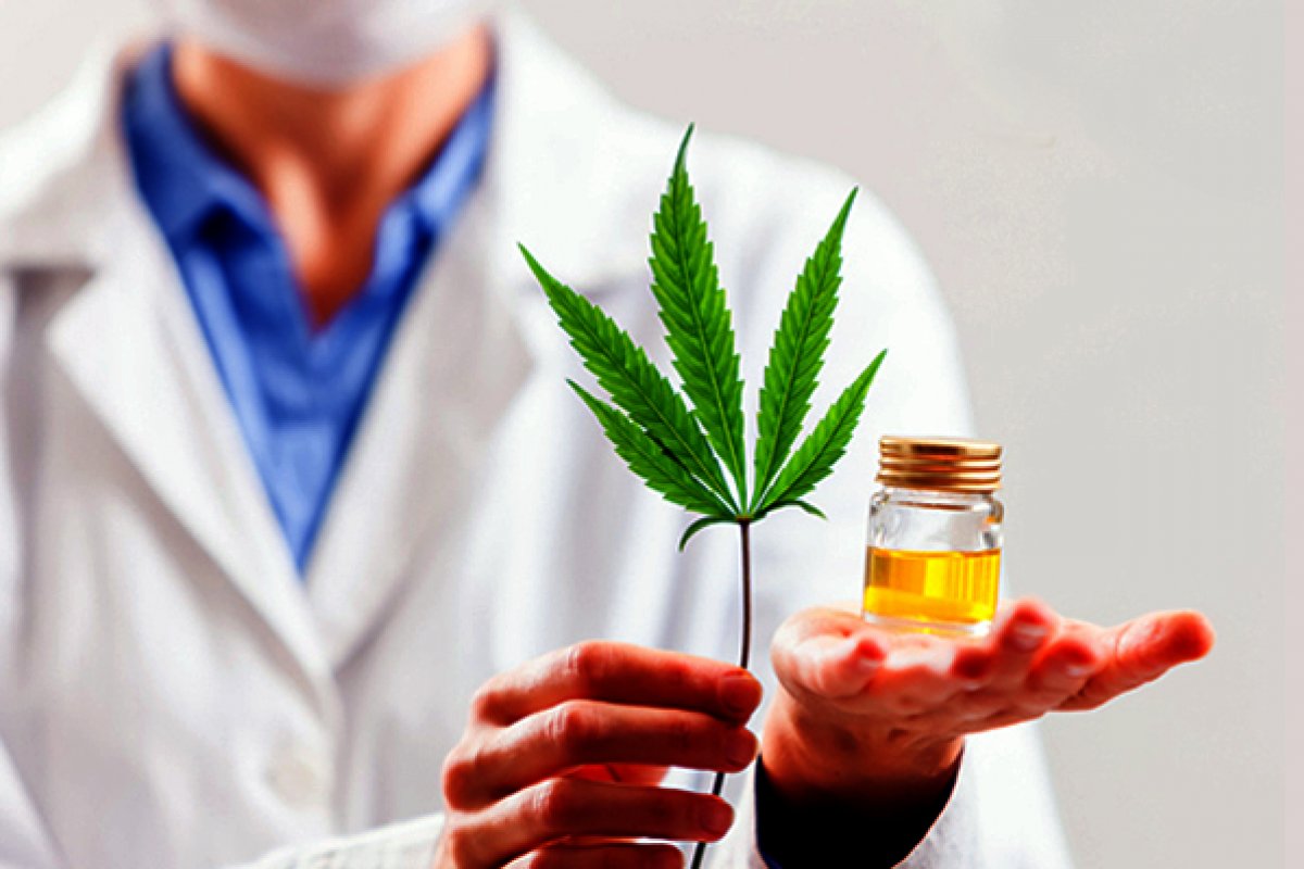 Regulamentação da maconha medicinal pode ser decidida nesta terça-feira (15)