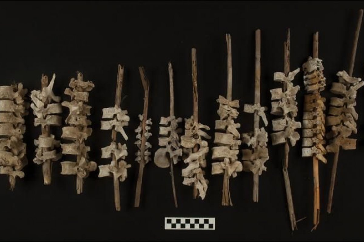 Quase 200 vértebras humanas são encontradas inseridas em varas no Peru