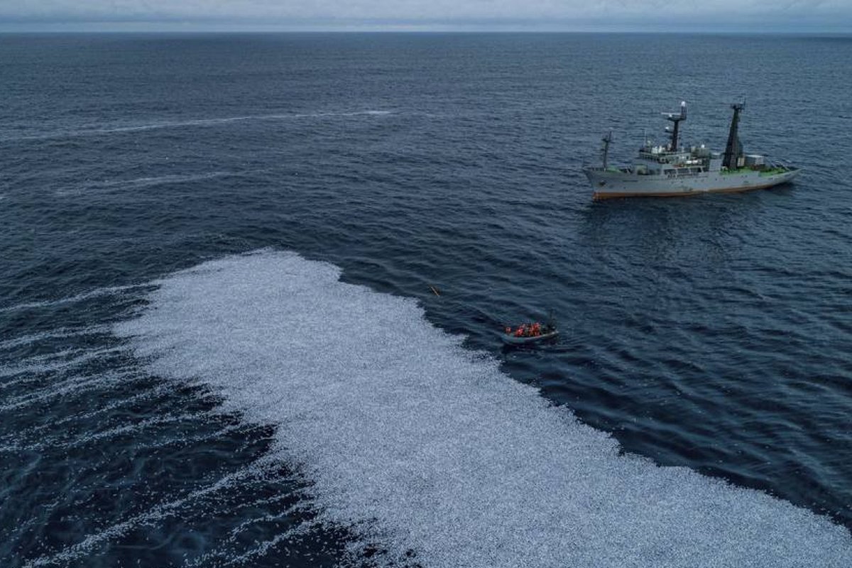 Segundo maior barco de pesca do mundo derrama  peixes mortos na costa da França
