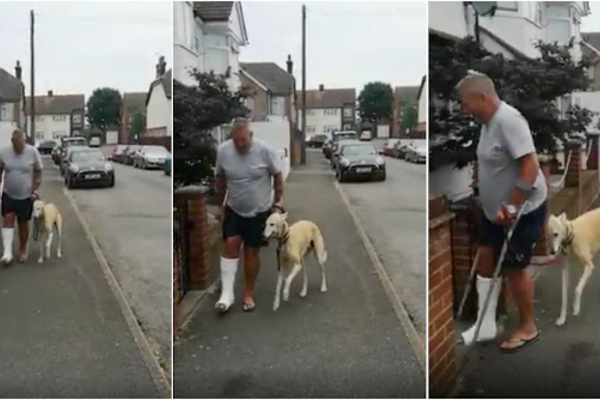 Vídeo: após gastar 330€ em exames, britânico descobre que seu cachorro estava mancando para o imitar