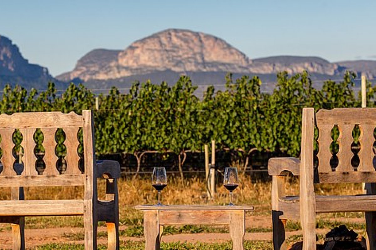 Chapada Diamantina ganhará vinícola sustentável em Mucugê