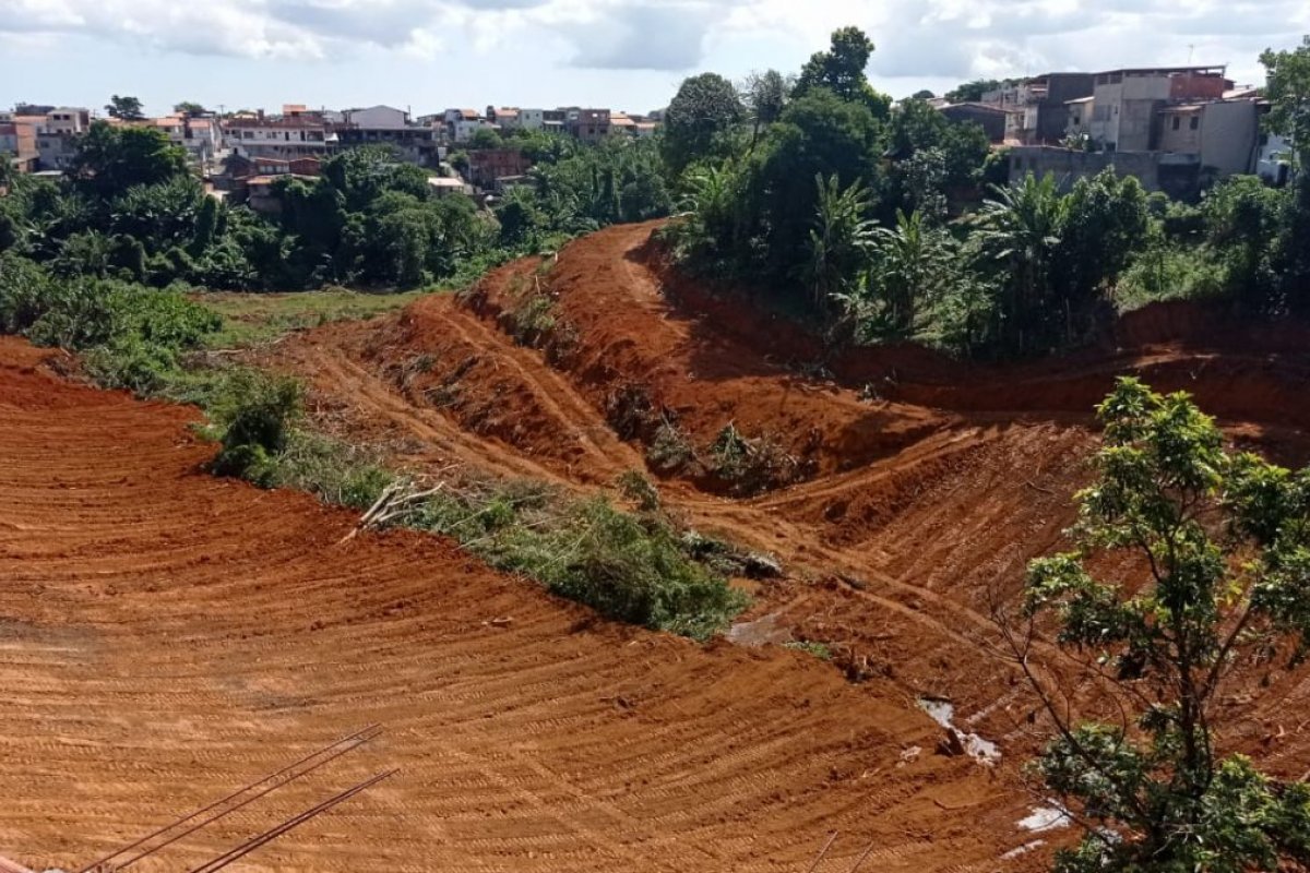MP aciona prefeitura de Salvador e empresa por desmatamento no bairro de Mussurunga