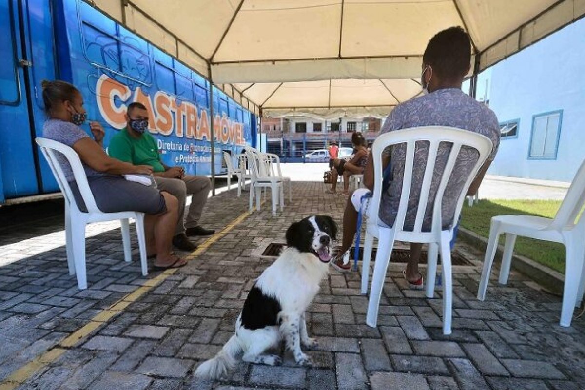 Castramóvel de Cajazeiras X segue com atendimento até 13 de março