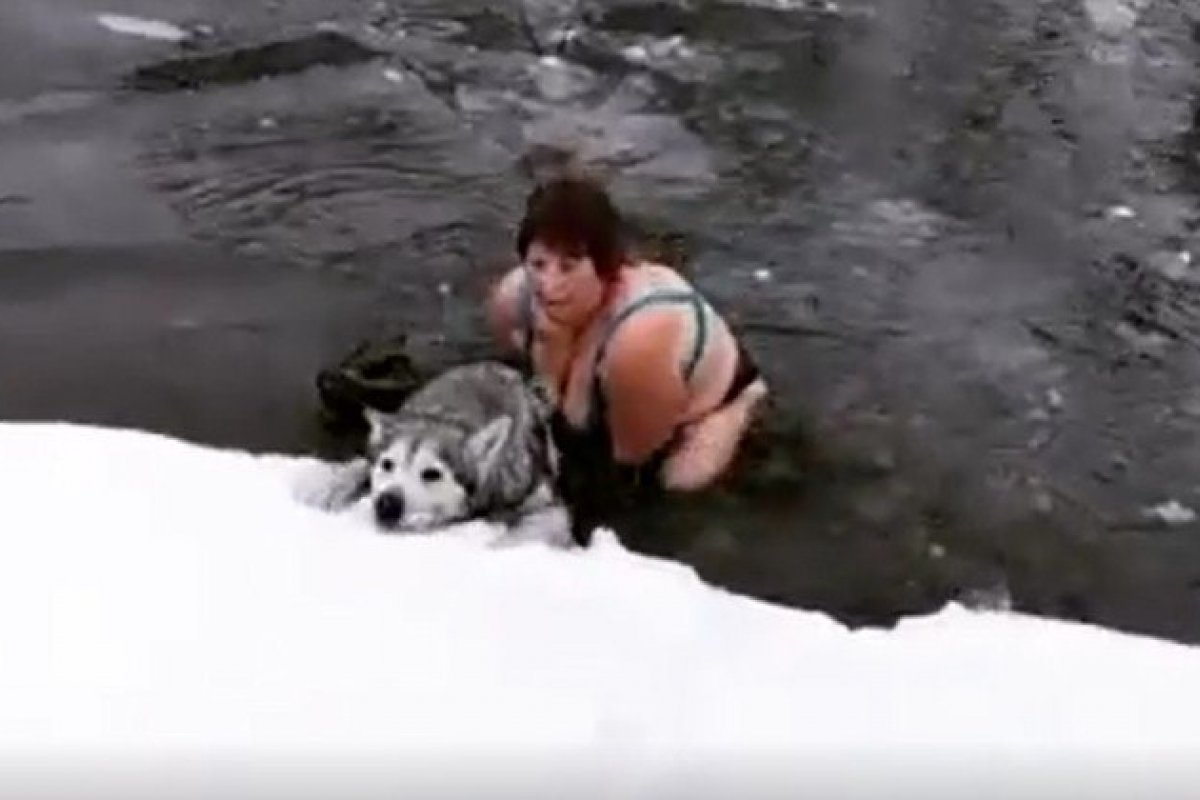 Vídeo: idosa mergulha em rio congelado para salvar cachorro