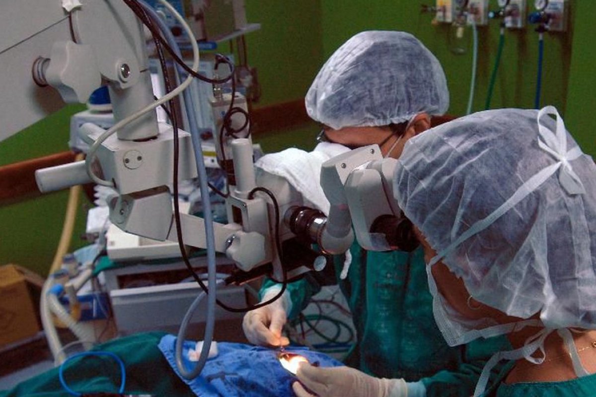 Cientistas mudam tipo sanguíneo e criam pulmão 'universal' para facilitar transplantes