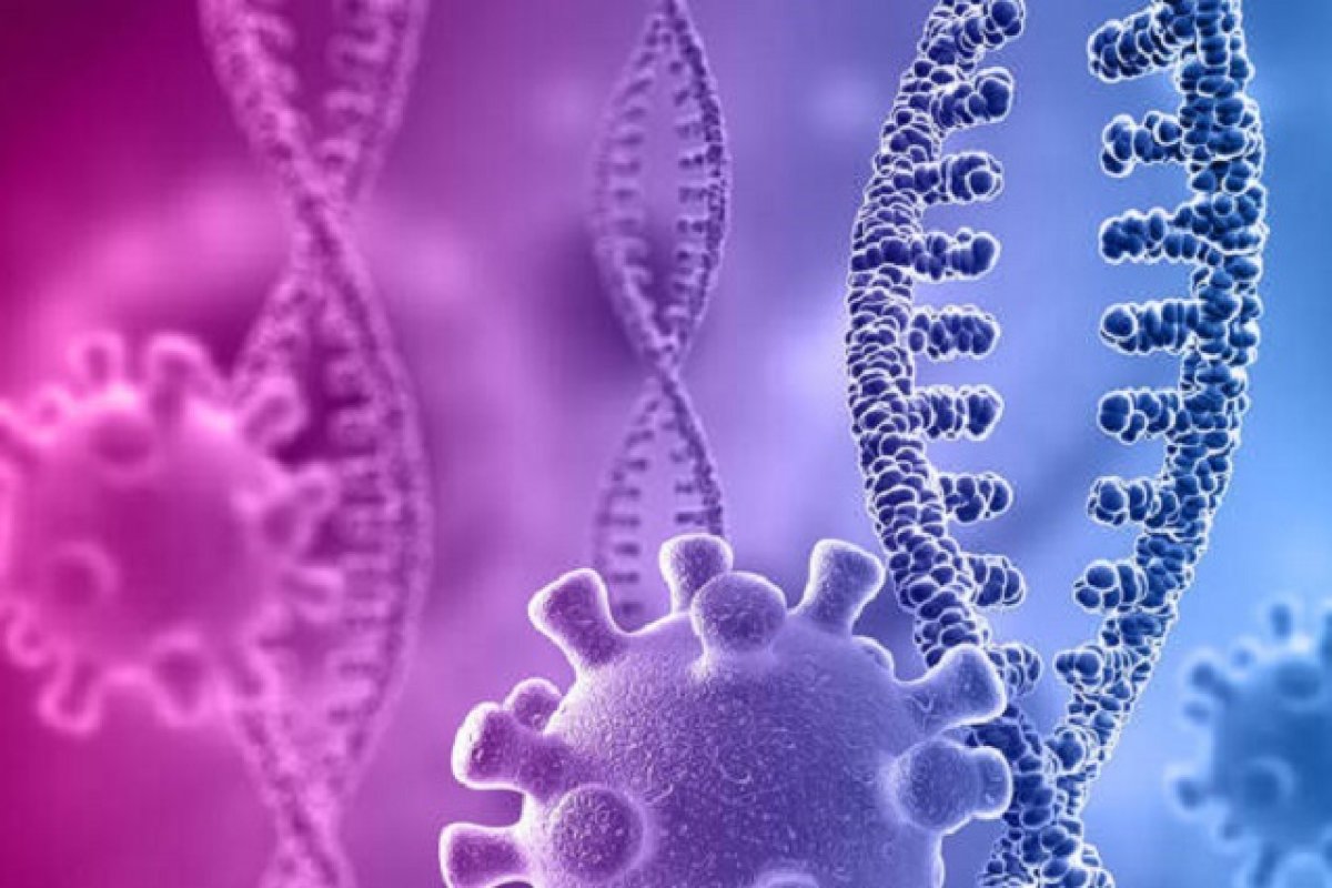Há sete semanas em alta, mortes por Covid-19 voltam a cair no Brasil