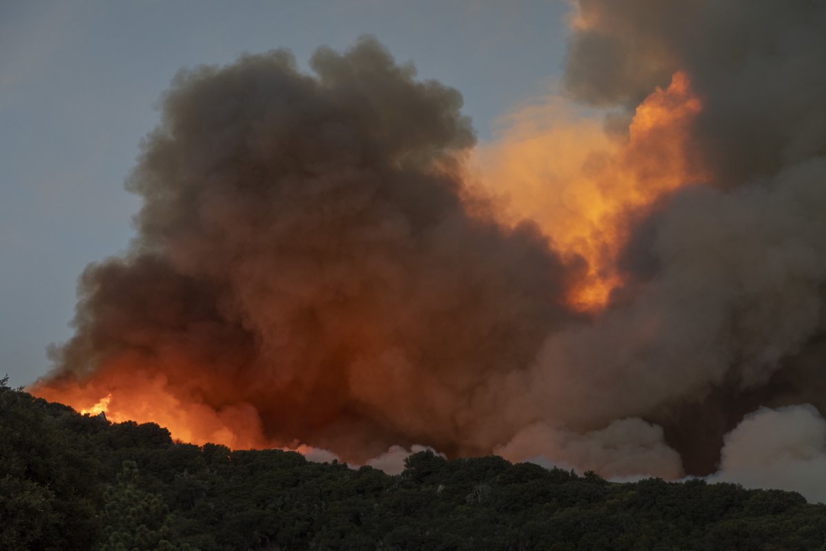 Estudo da ONU alerta para aumento de incêndios florestais