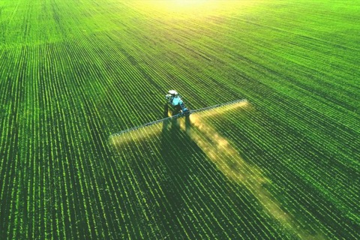 FGV diz que agronegócio brasileiro pode neutralizar emissões de carbono até 2030