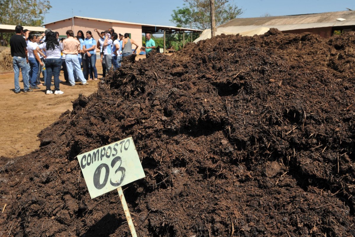 Belarus notifica Brasil sobre suspensão de venda de fertilizantes