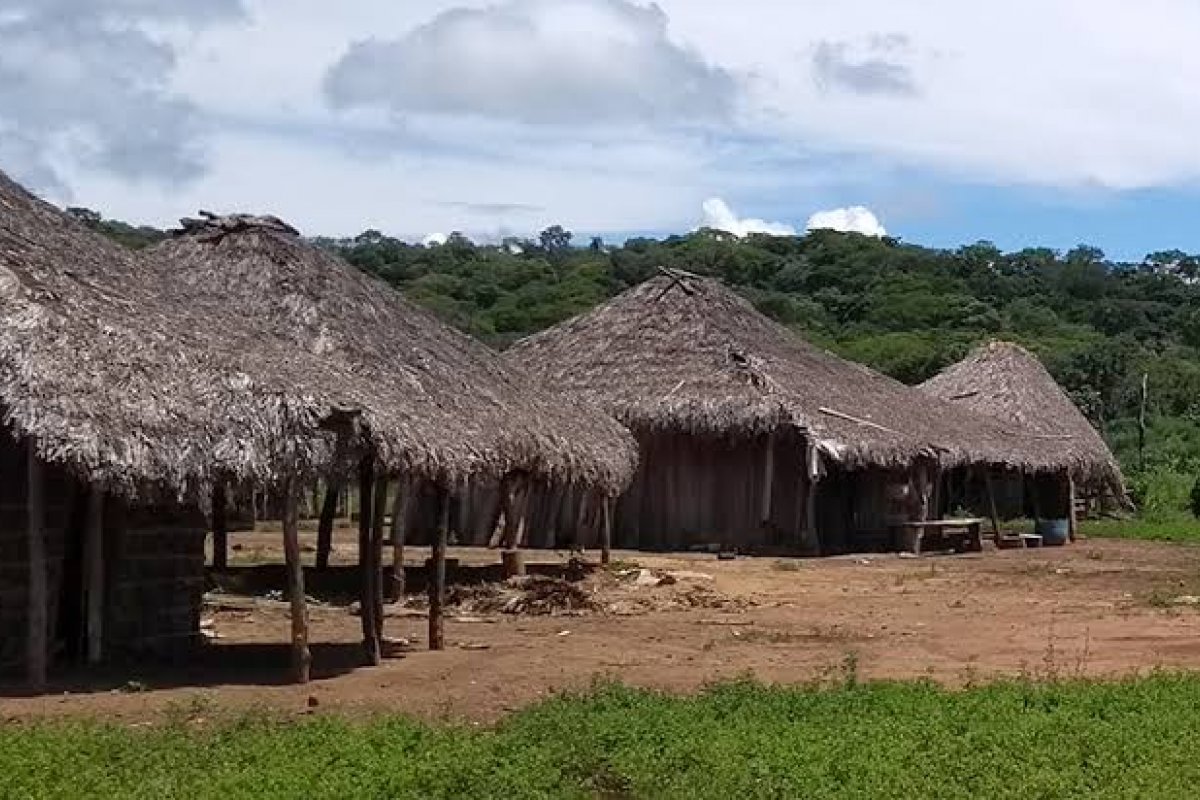 Vídeo: empresa descumpre Inema e desmata quilombo da Cambuta