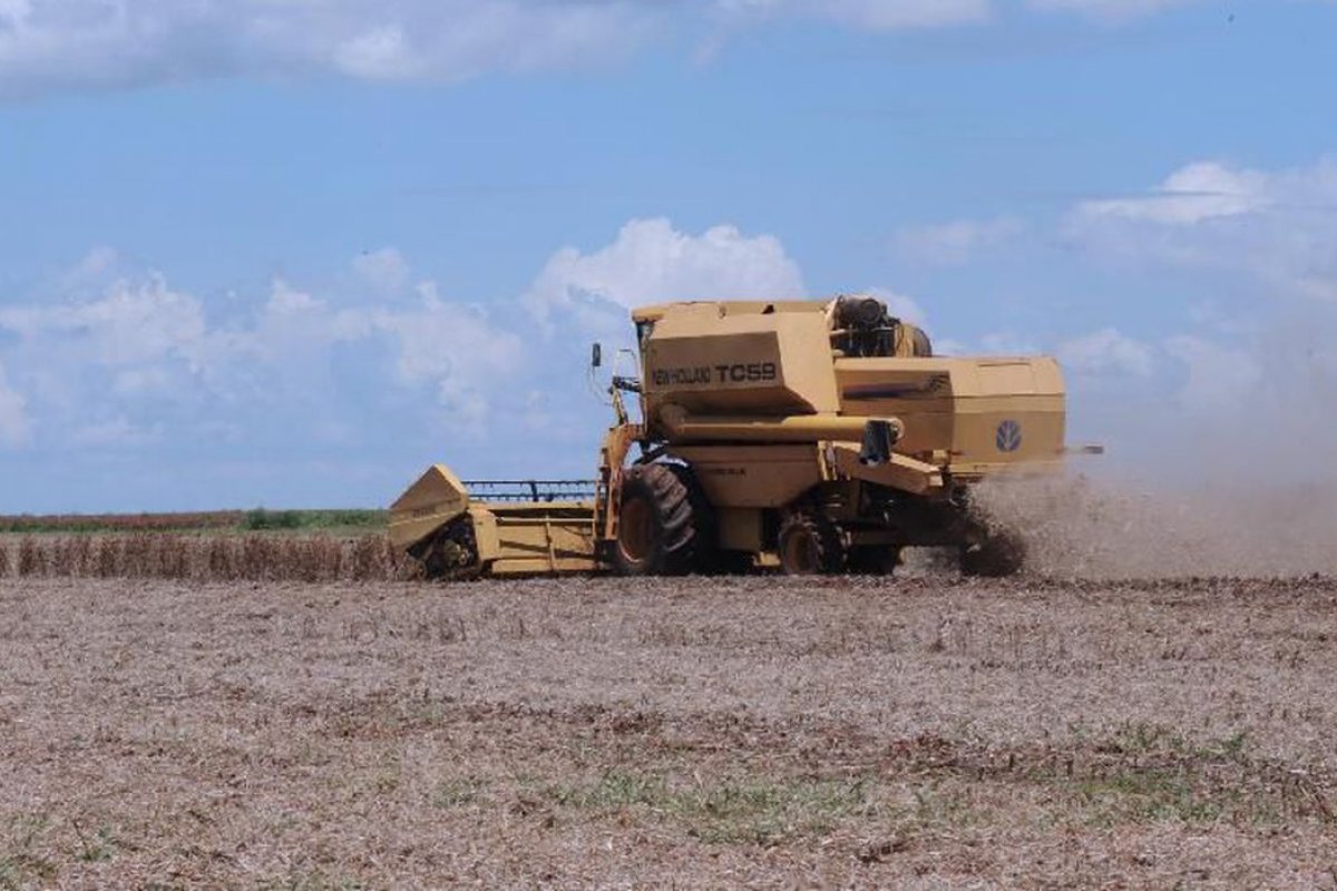 Em live, Bolsonaro anuncia futuro programa nacional de fertilizantes