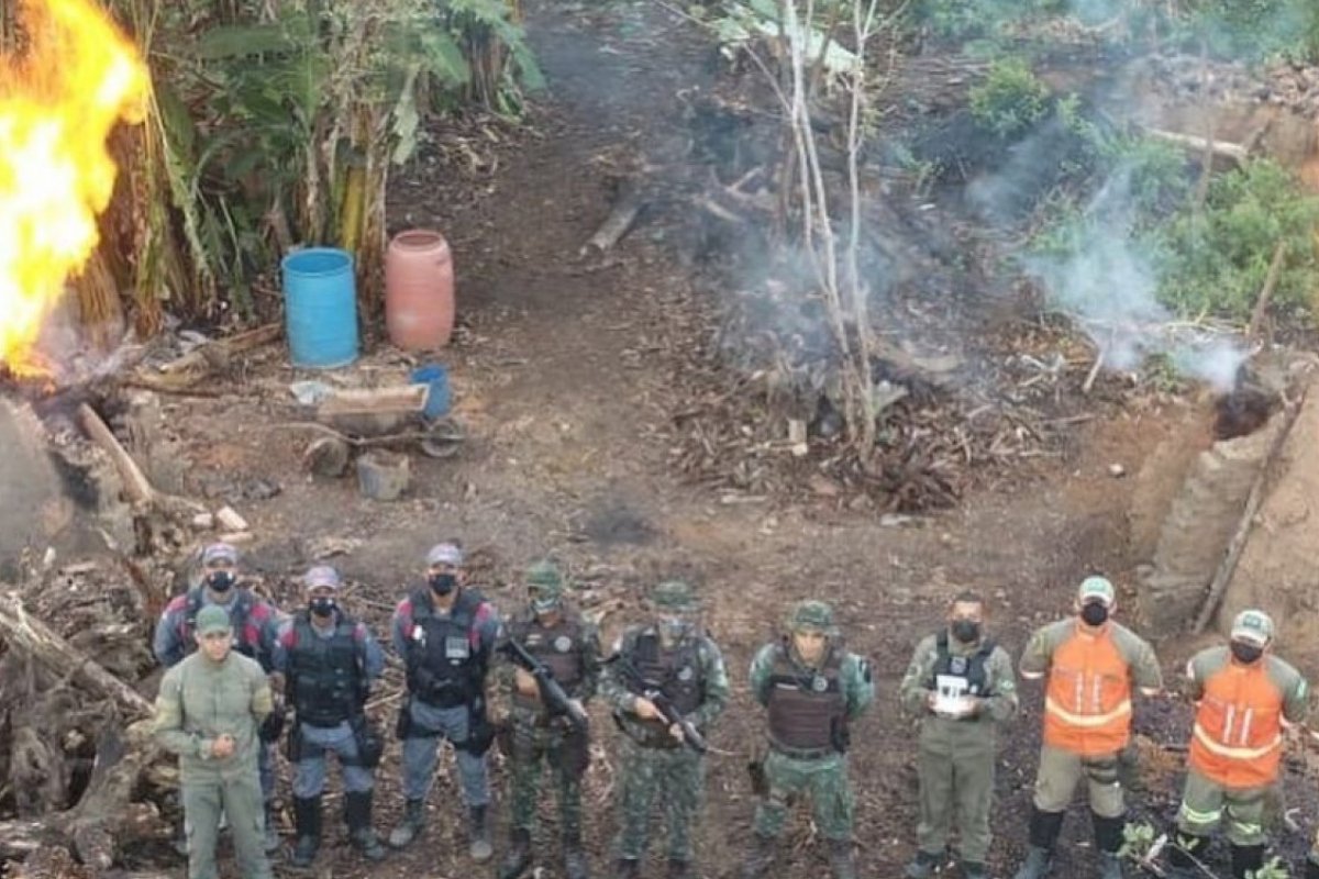 Fornos e carvoarias ilegais são destruídos em área de Mata Atlântica na Bahia