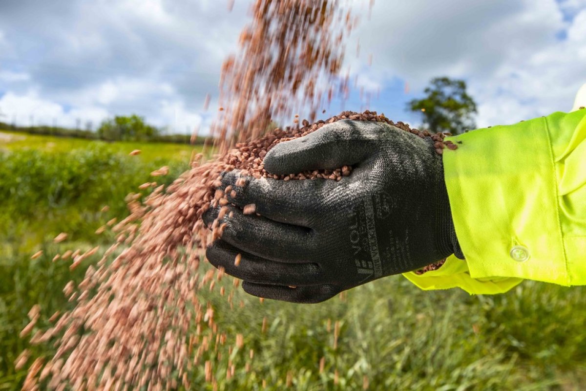 Rússia recomenda que produtores suspendam temporariamente exportação de fertilizantes