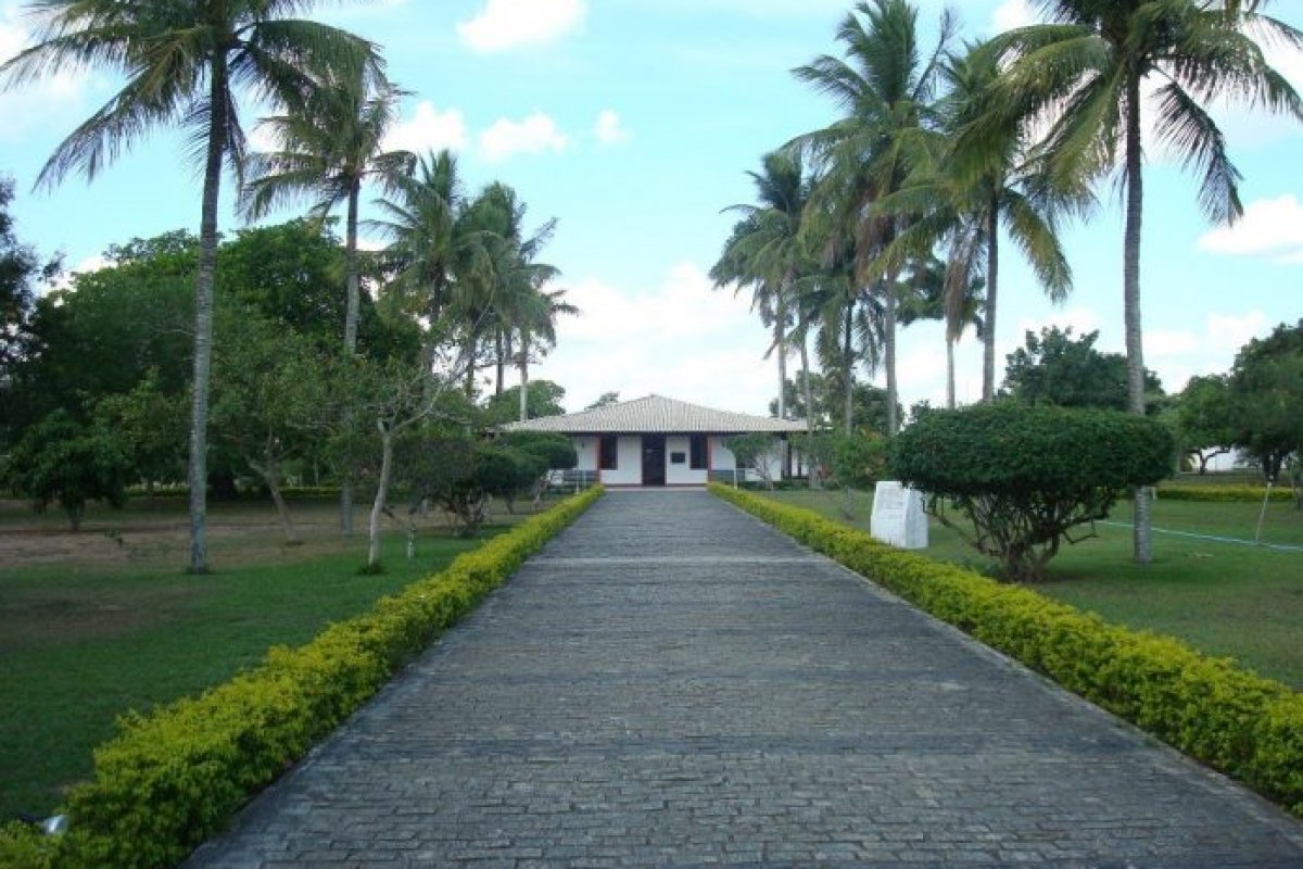 Exposições vão marcar os 175 anos de nascimento de Castro Alves; confira