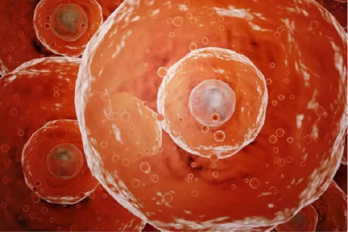 "Superimunidade": o que é e como nos protege da Covid-19