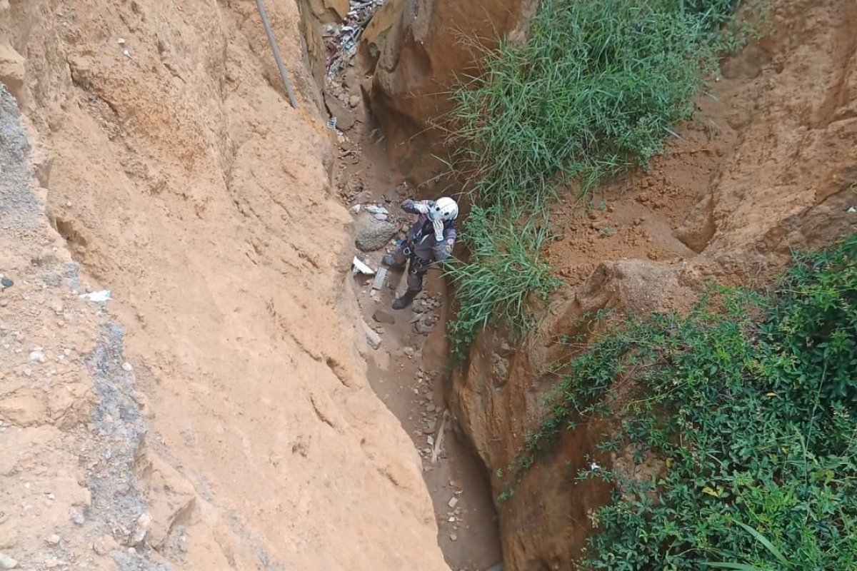 Filhotes de gatos são retirados de valeta com 13 metros de profundidade na Bahia