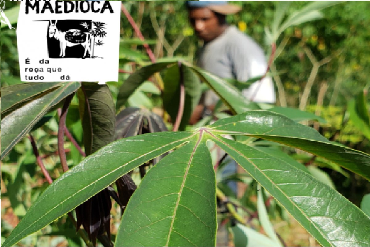 Fotolivro digital que trata da tradição cultural da Comunidade do Tinga será lançado na quarta (16)