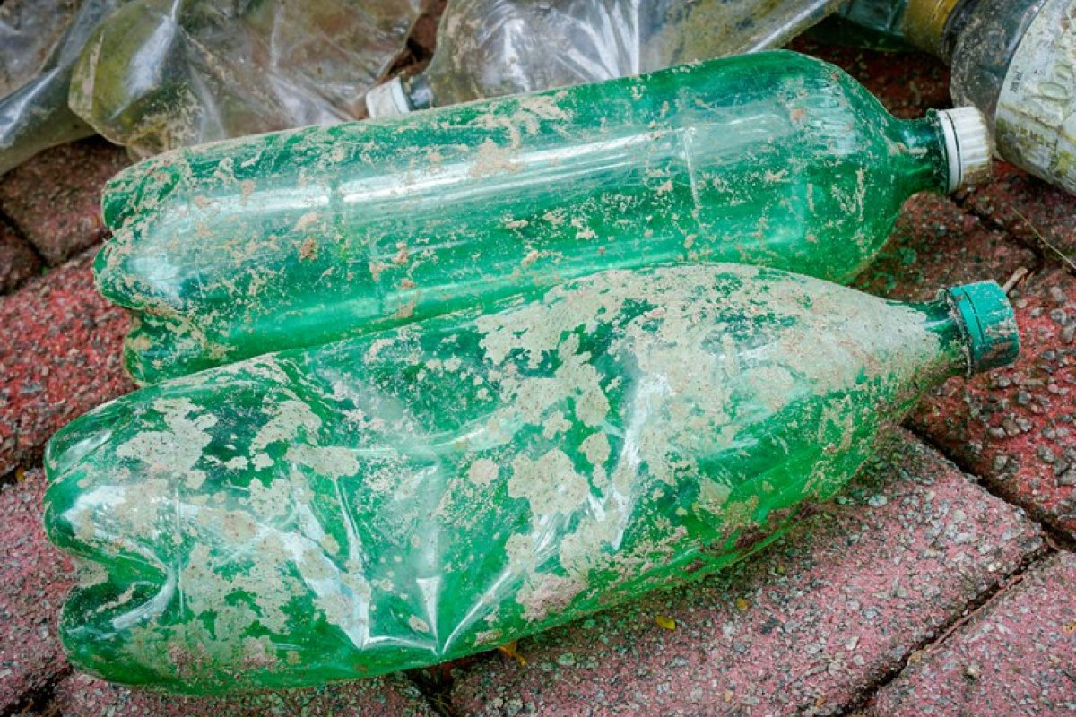 Brasil vota a favor de resolução para compromisso mundial de combate à poluição por plástico