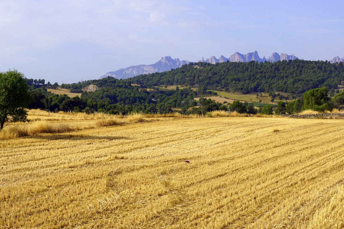 Produtos vendidos pela Rússia e Ucrânia devem ficar mais caros