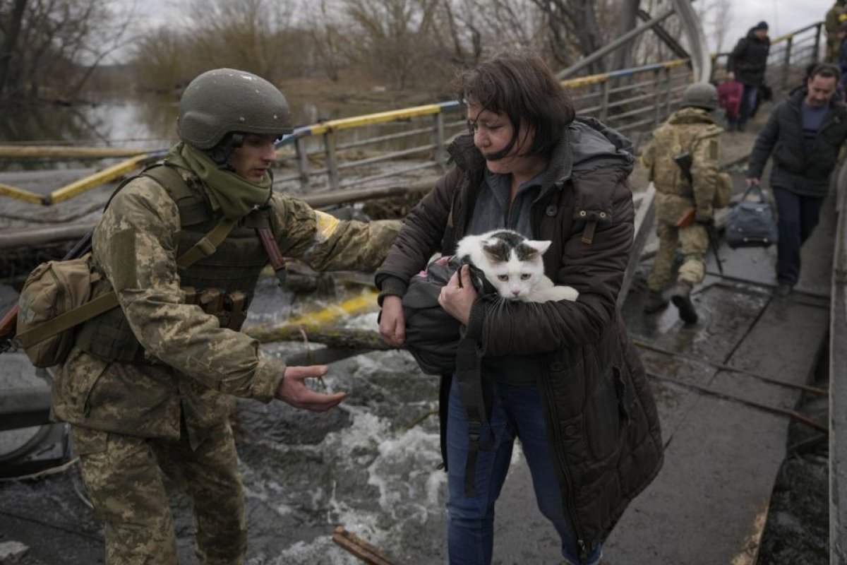 Guerra na Ucrânia: população enfrenta dilema ao deixar país com animais de estimação