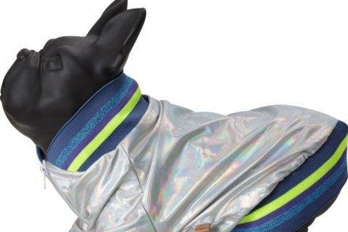 PET Jr. lança coleção Tal pais, Tal pet com Jaqueta Holográfica !