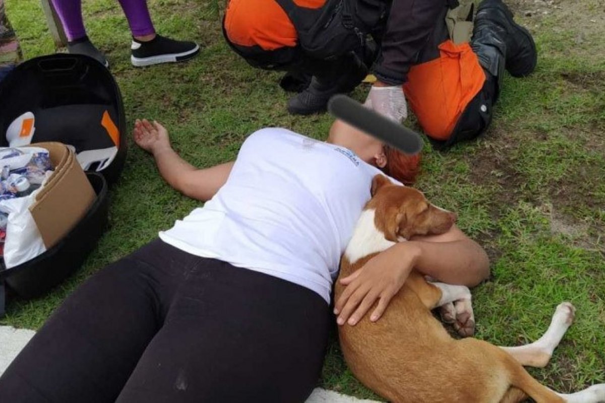 Mulher sofre acidente para desviar de cachorro e animal fica ao lado dela durante primeiros socorros