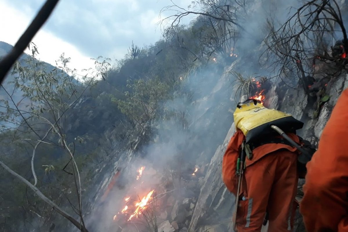Incêndio na área de vegetação da Chapada Diamantina toma grandes proporções