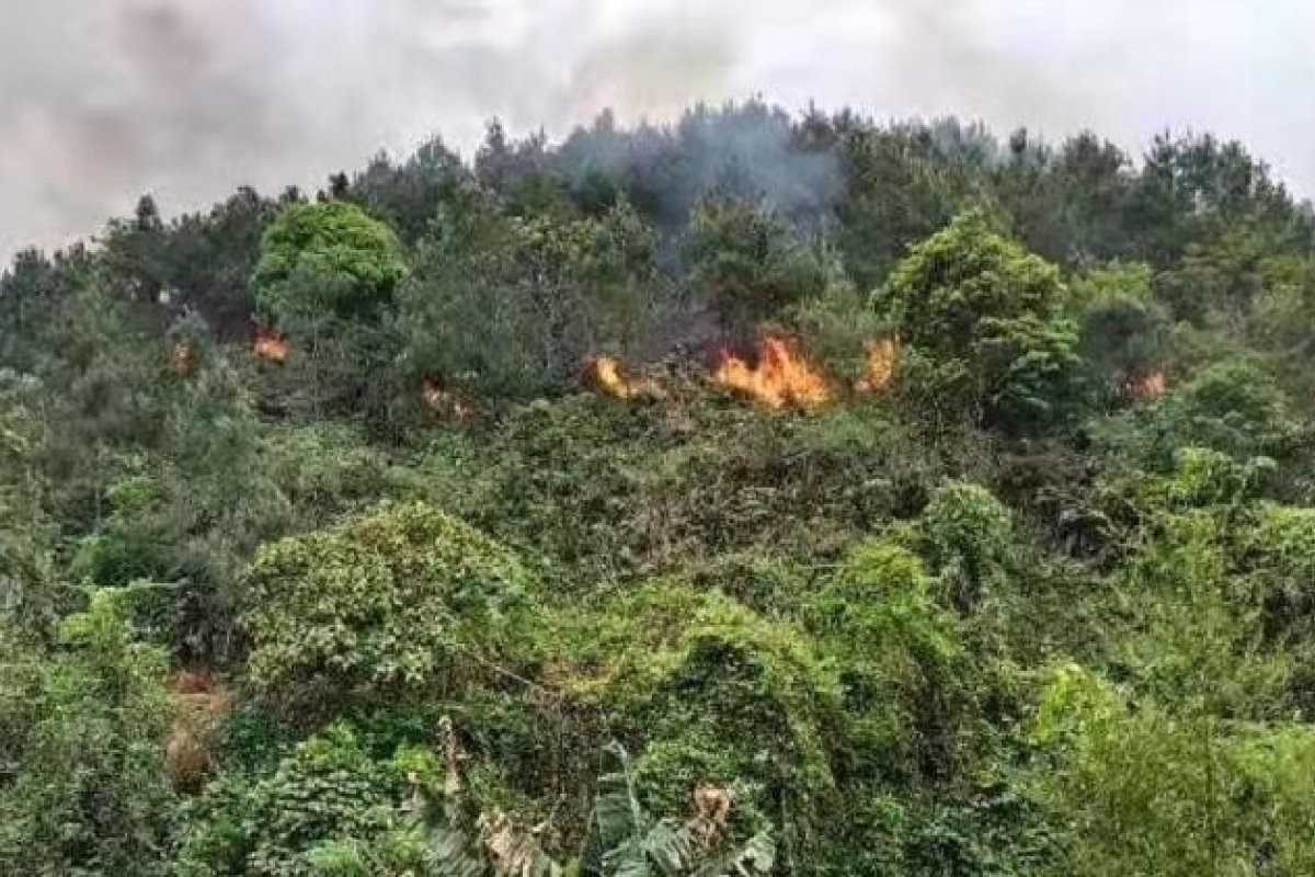 Monitoramento aponta que voo que caiu na China despencou mais de seis metros em dois minutos